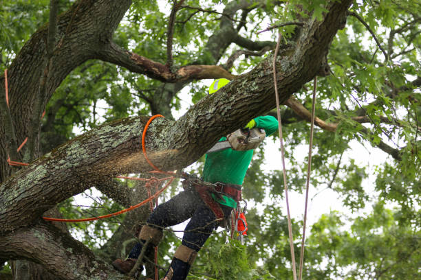 Mulching Services in Middletown, OH